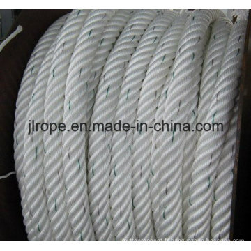 Atlas Rope / Nine Strength Atlas Rope